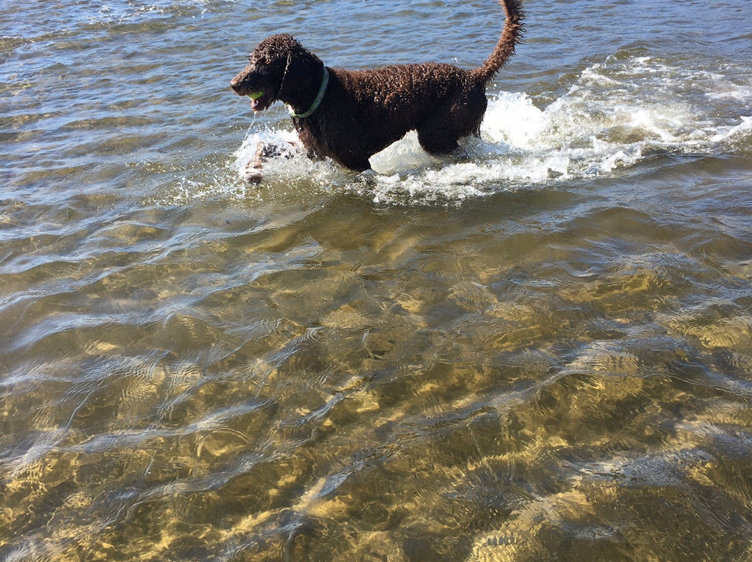 Deep Cove Beach-Grand Manan必去景点