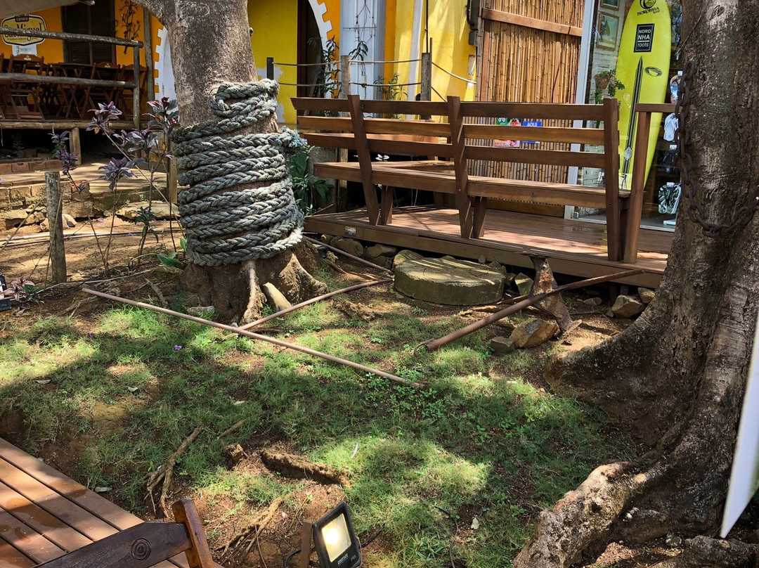 Açaí e Loja Noronha Roots