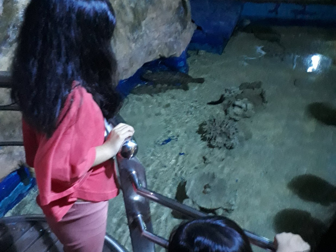 Labuan Marine Museum-纳闽必去景点