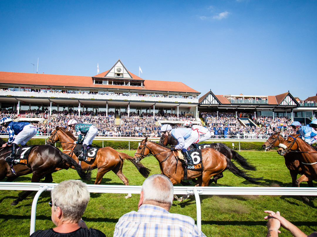 Chester Racecourse景点图片