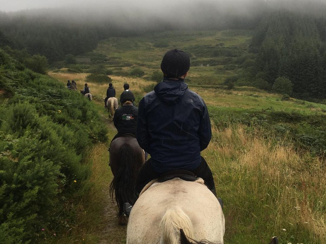 Devil's Bit Pony Trekking-Templemore必去景点