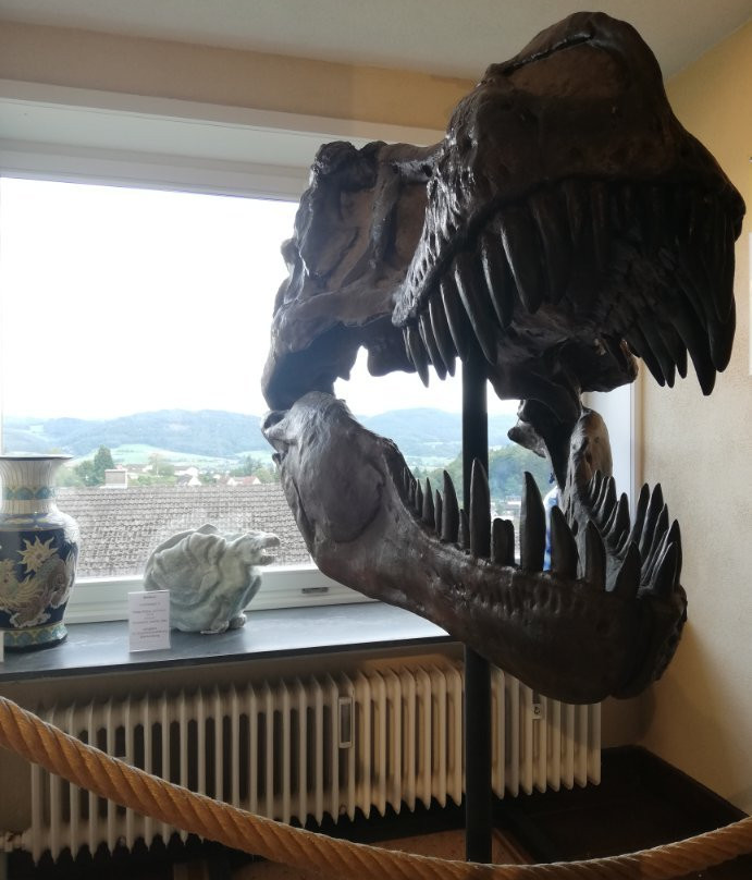 Deutsches Drachenmuseum-Lindenfels必去景点