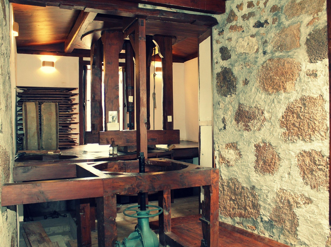 Museo de Interpretacion del Gofio (MIGO)-Garafia必去景点