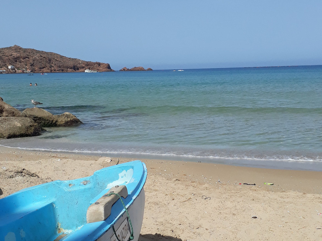 La plage de Cap Falcon景点图片