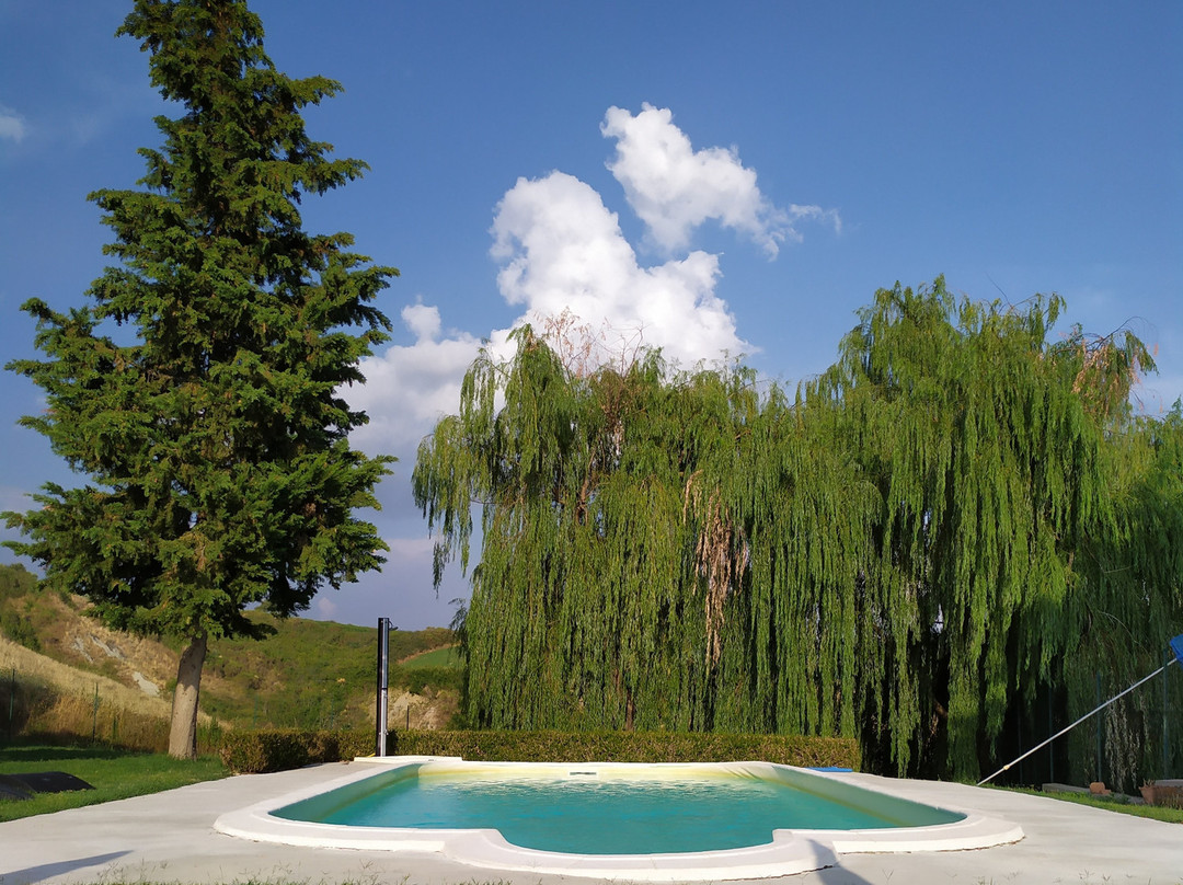 Podere Assolatina Agriturismo主图