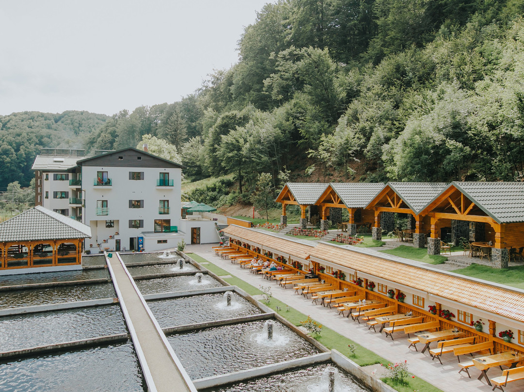 Lostrita - Pastravarie, Hotel & SPA主图