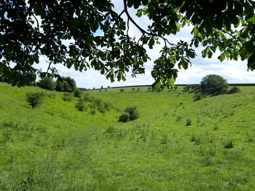 Wolds Way National Trail景点图片