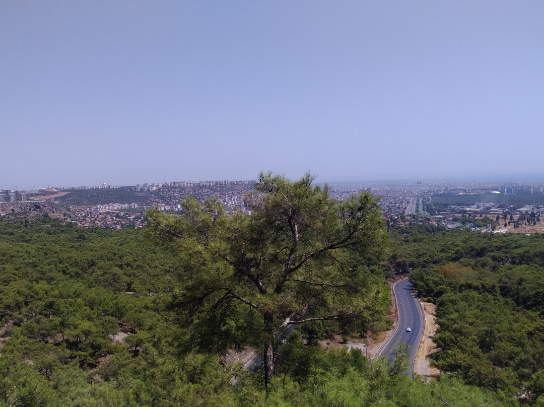 Kepez Belediyesi Kent Ormani景点图片