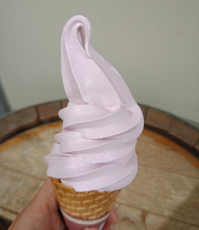 Grape Juice Factory, Budogaoka Information Center-富良野市必去景点