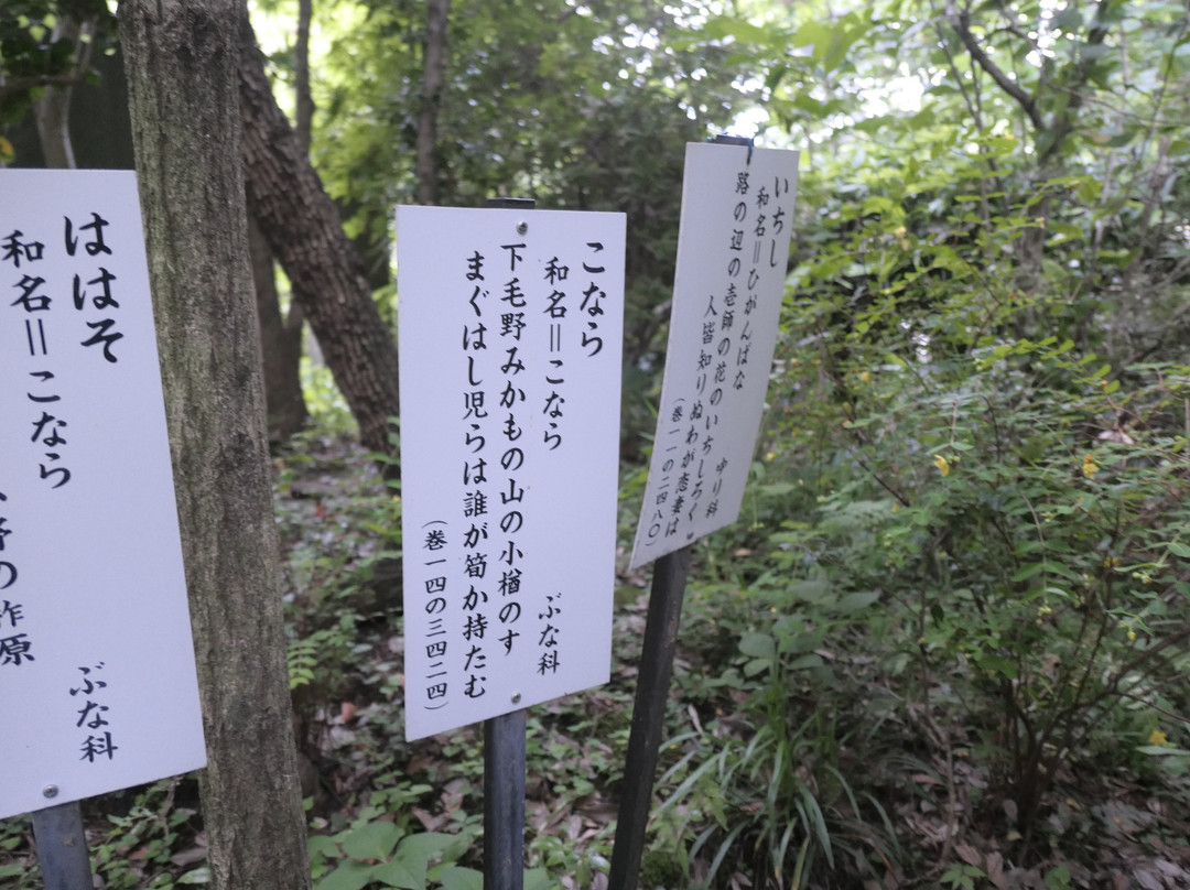 Musashi Kokubunji Temple-国分寺市必去景点