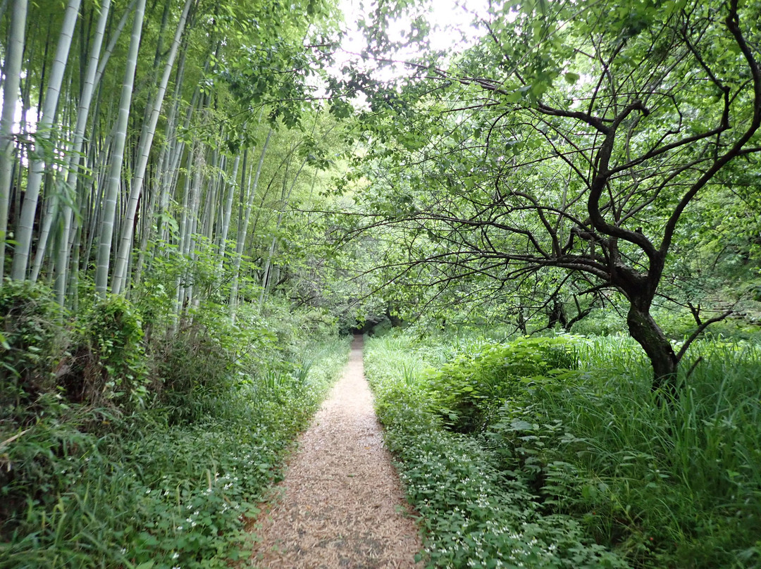 Ozenji Temple景点图片