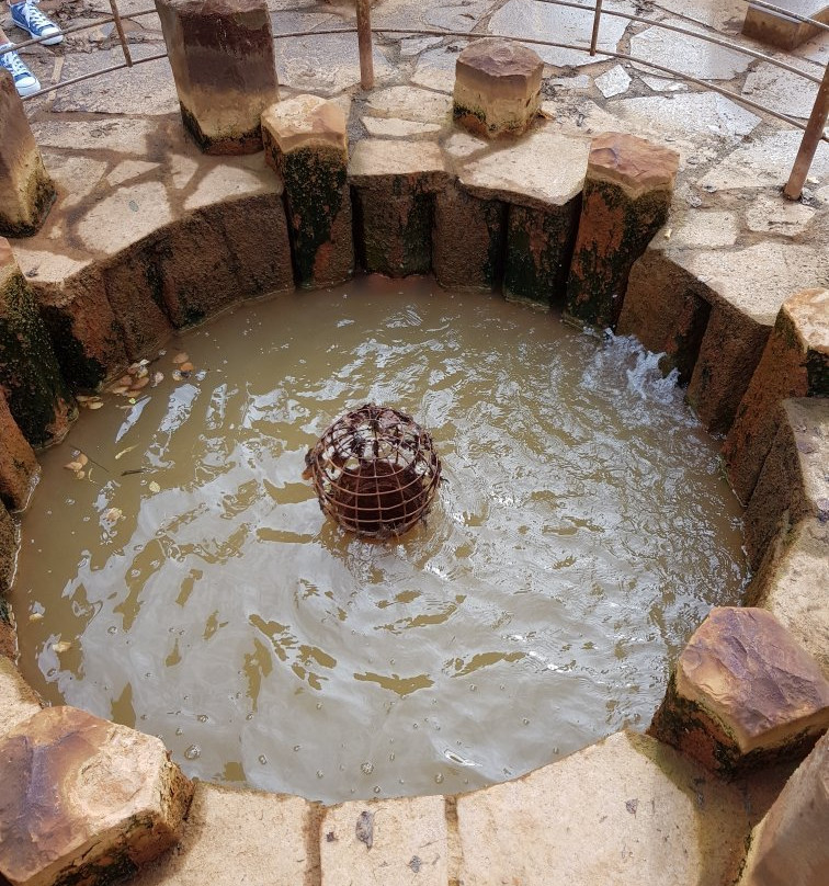 Geysir Wallende Born景点图片