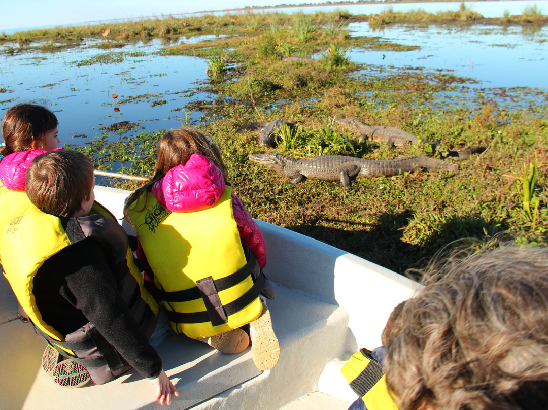 Ecoposada del Estero主图