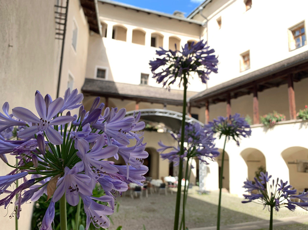 Schloss Bruck - Museum der Stadt Lienz景点图片