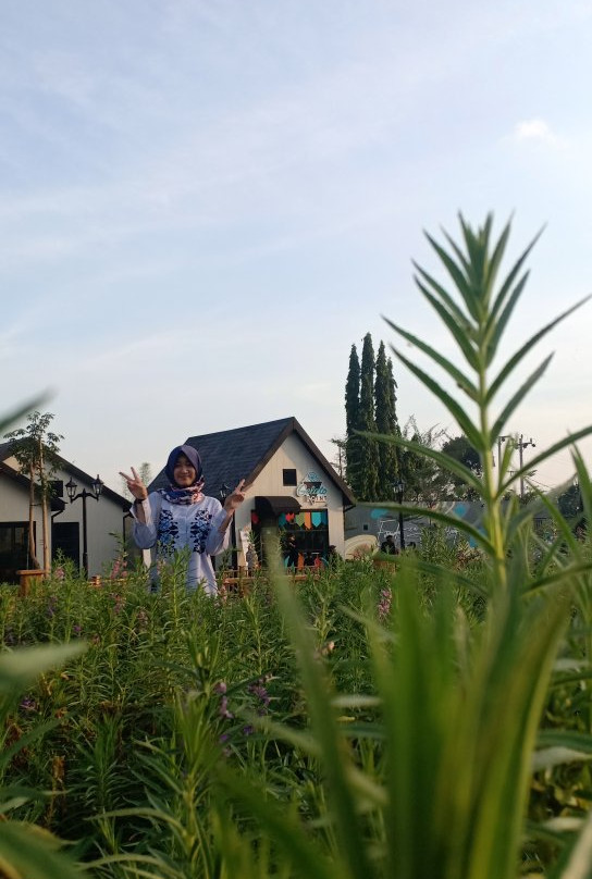 The Village景点图片