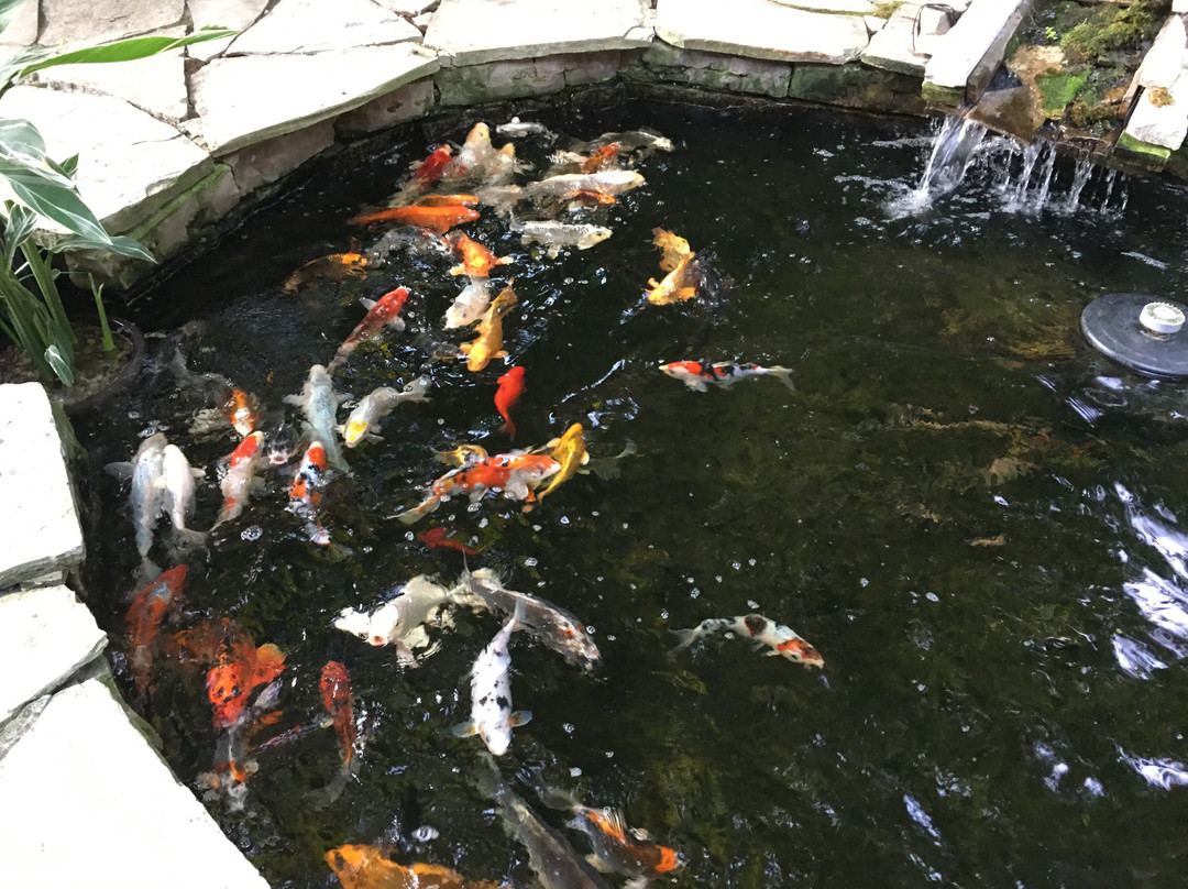 Queensway Landing Bed & Breakfast主图