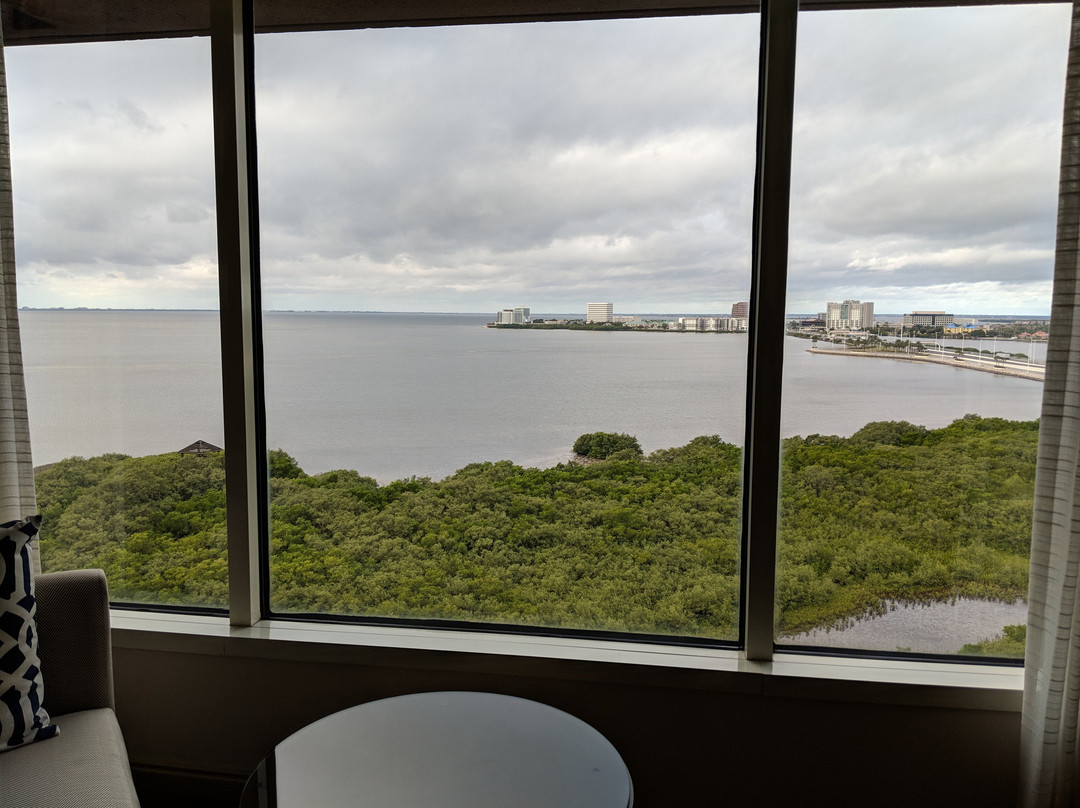 坦帕湾君悦豪华酒店主图