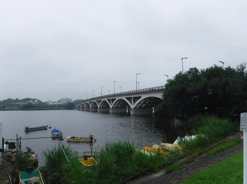 Abiko city Museum of Birds-我孙子市必去景点