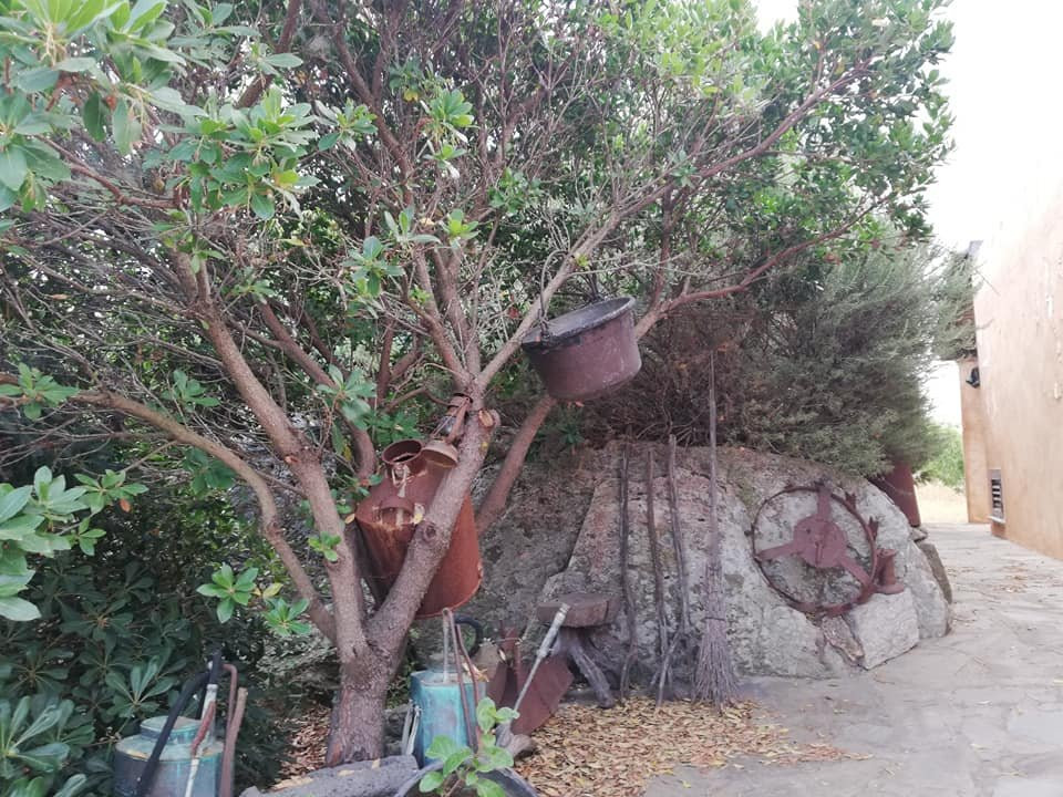 Agriturismo Sas Pretas Latas主图