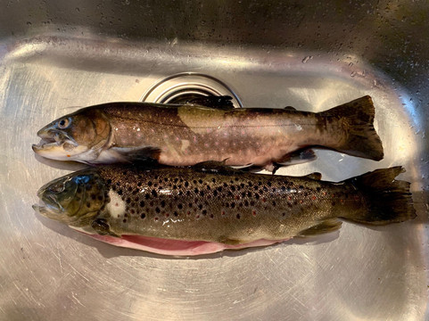 Forellenhof Nadler-Eching必去景点