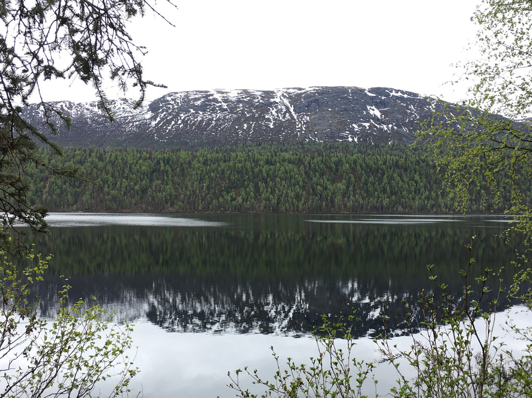 Byers Lake-塔尔基特纳必去景点