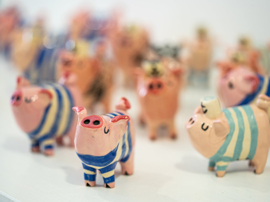 Nothing to Sea-罗维尼必去景点