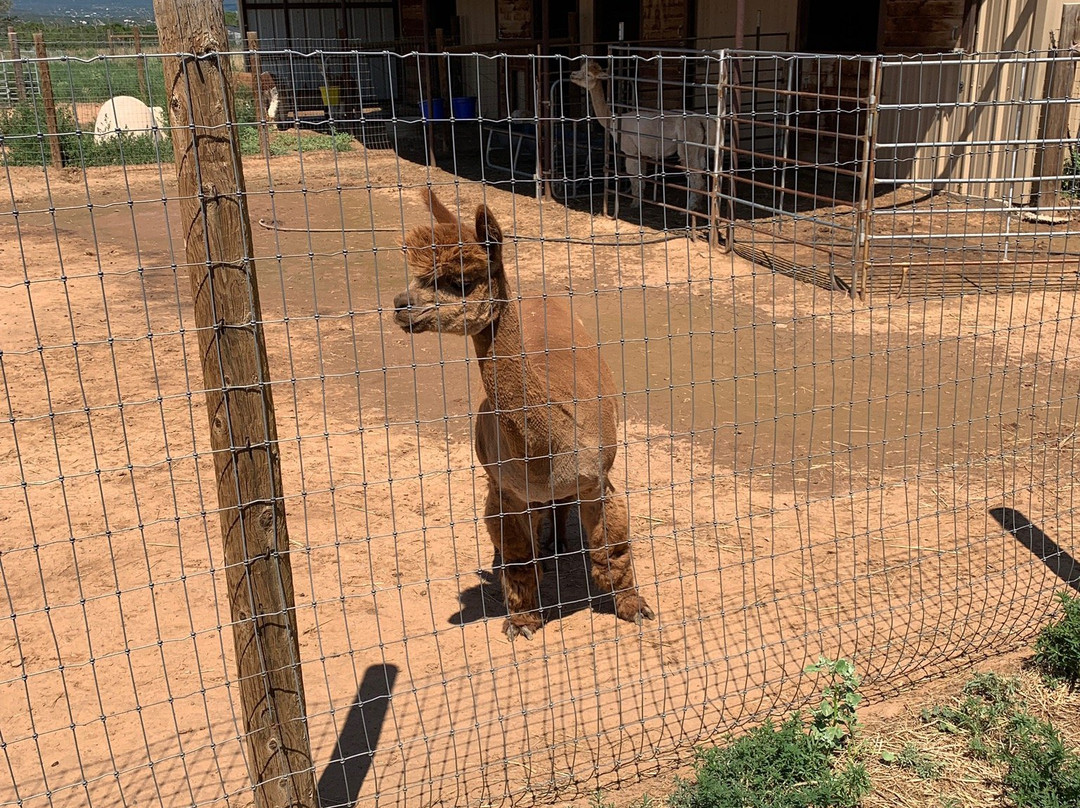Hollywick Farms-Sandia Park必去景点