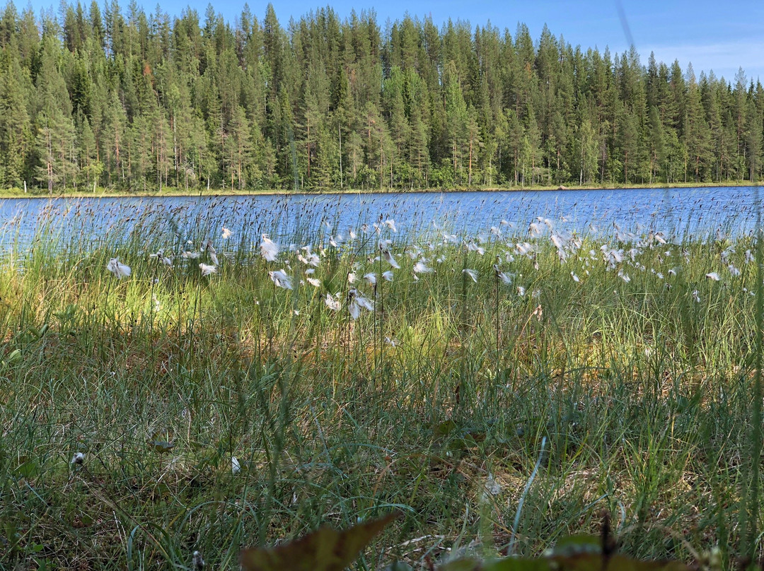 Pure Lapland - Tours景点图片