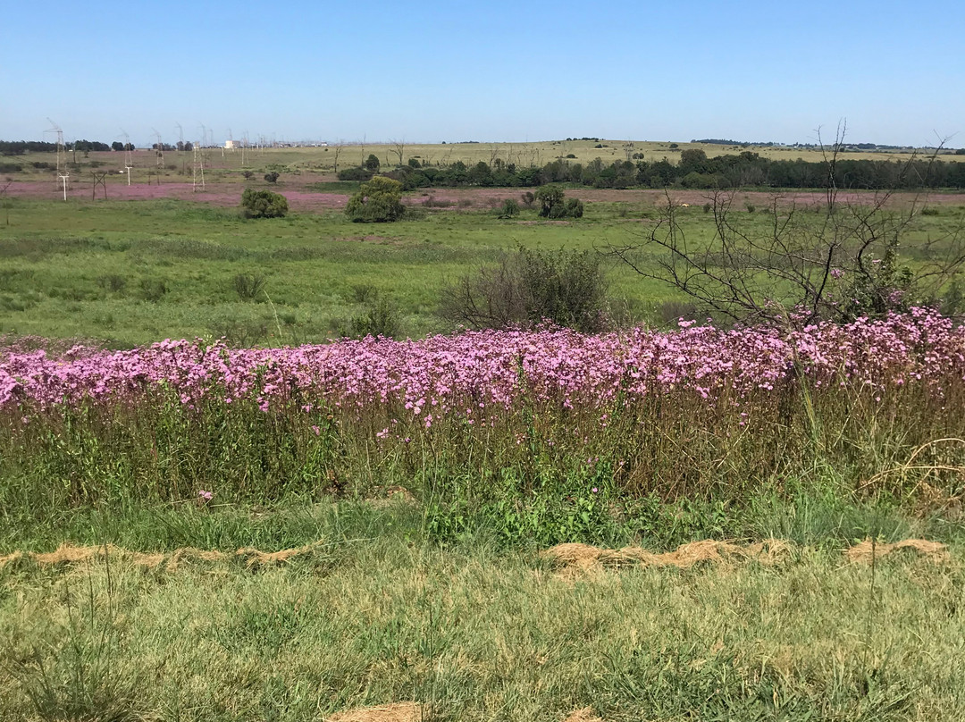 Rietvlei Nature Reserve-比勒陀利亚必去景点