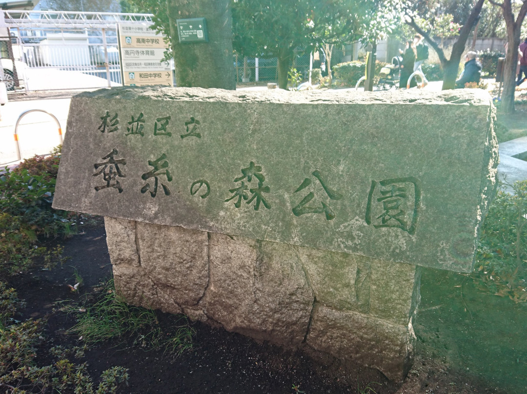 Sanshinomori Park-杉并区必去景点