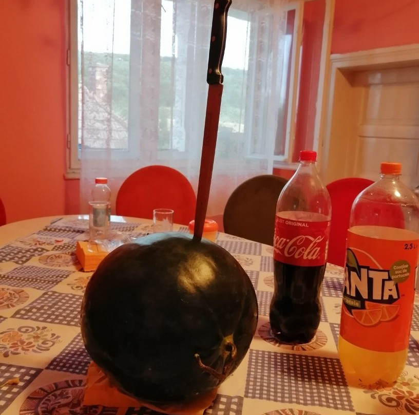 Pensiunea Casablanca主图