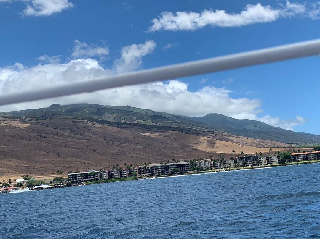 Sail Maui Private Tour景点图片