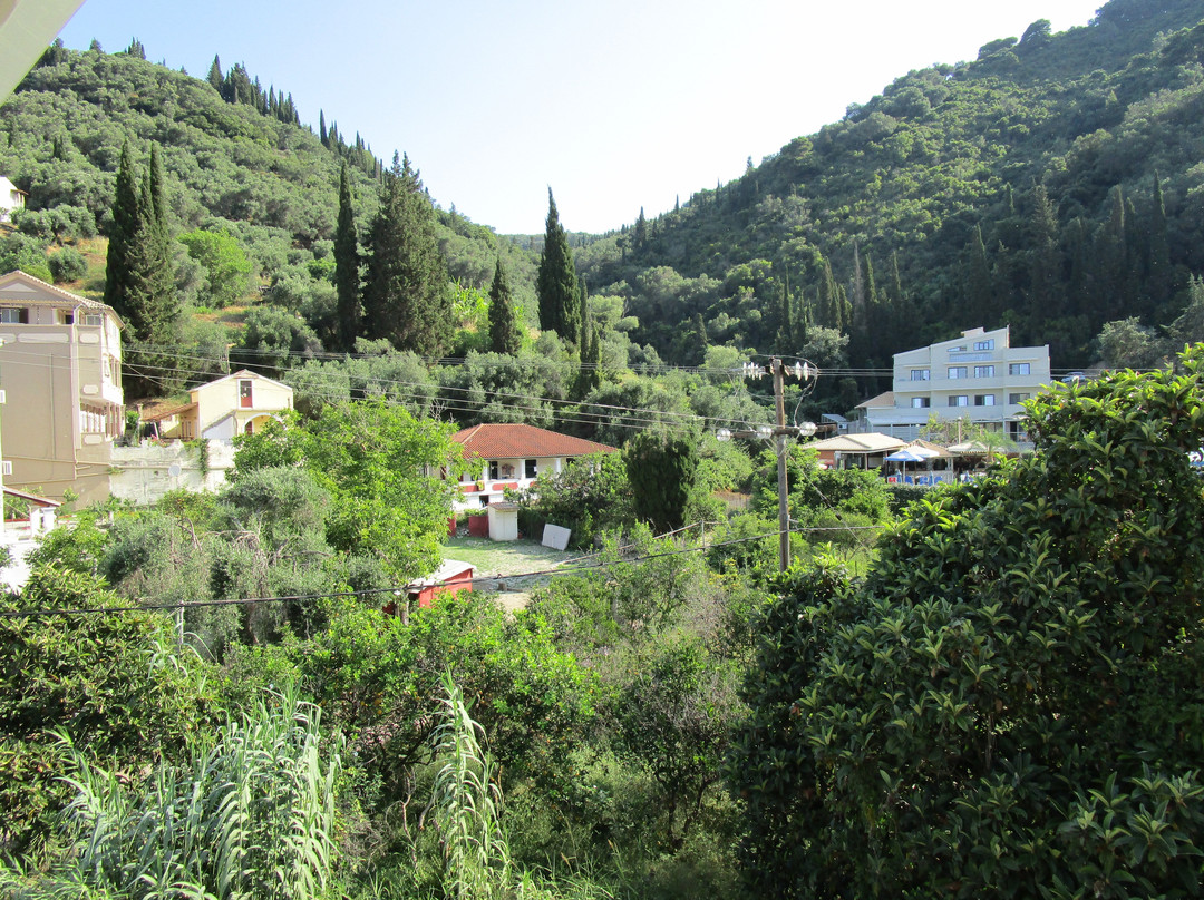 Irene Apartments主图