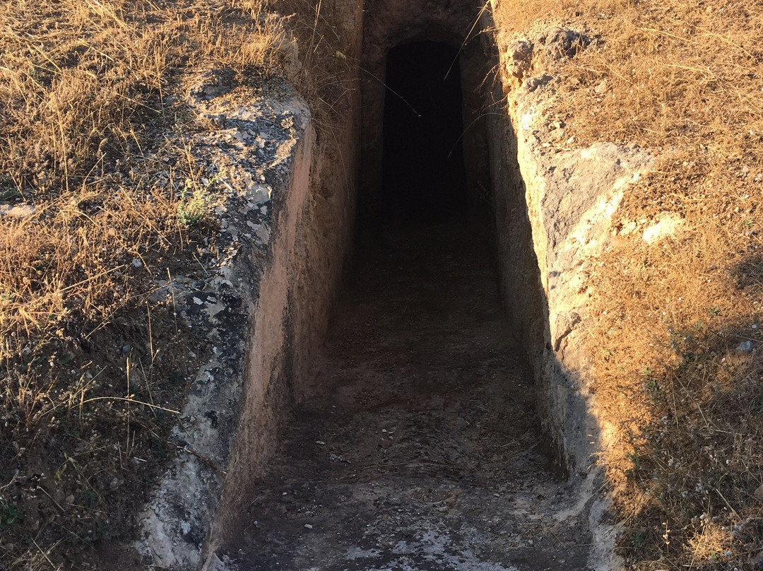 Mycenaean Cemetary-Aidonia必去景点
