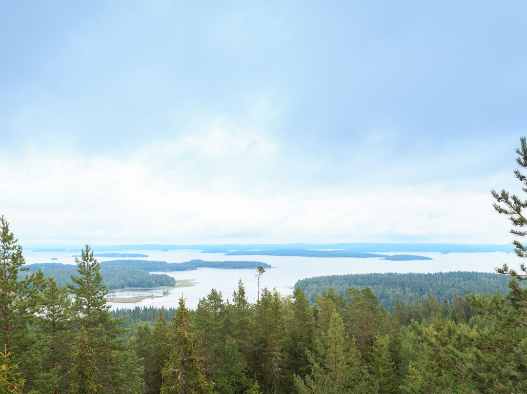 Oravivuori Triangulation Tower-Korpilahti必去景点