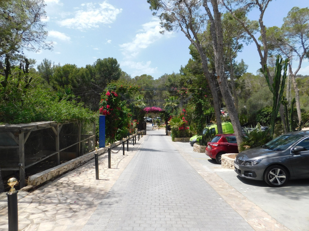 佩蒂特卡拉弗内尔斯酒店主图