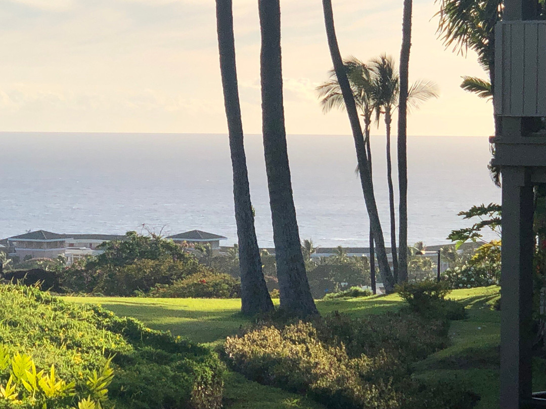Wailea Ekolu Village By Destination Residences Hawaii