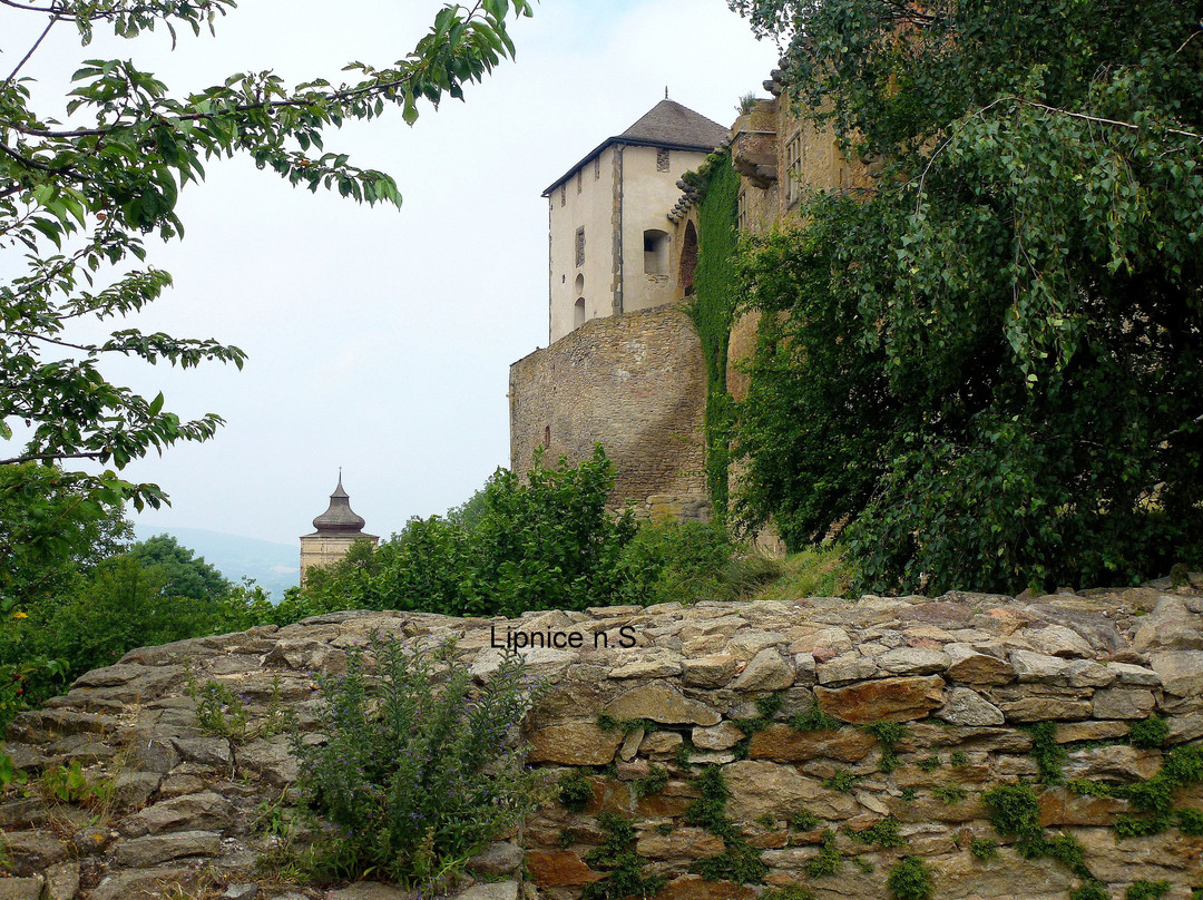 Státní hrad Lipnice景点图片