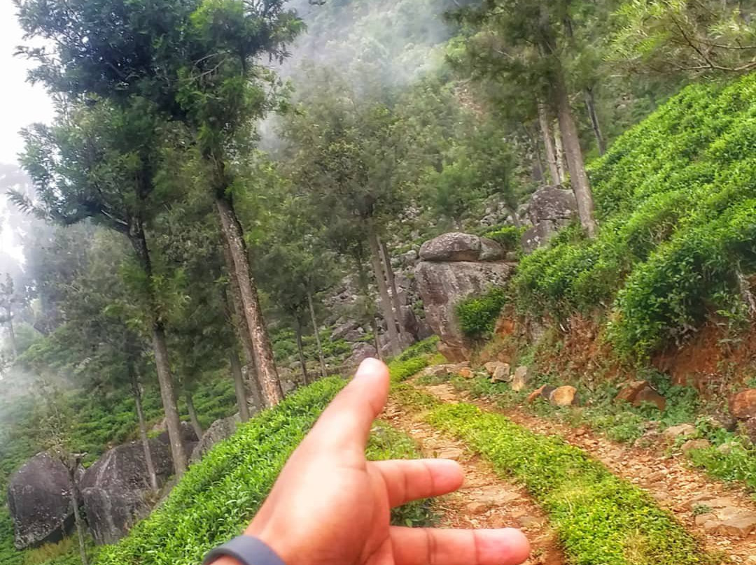 Devil's Staircase-Ohiya必去景点