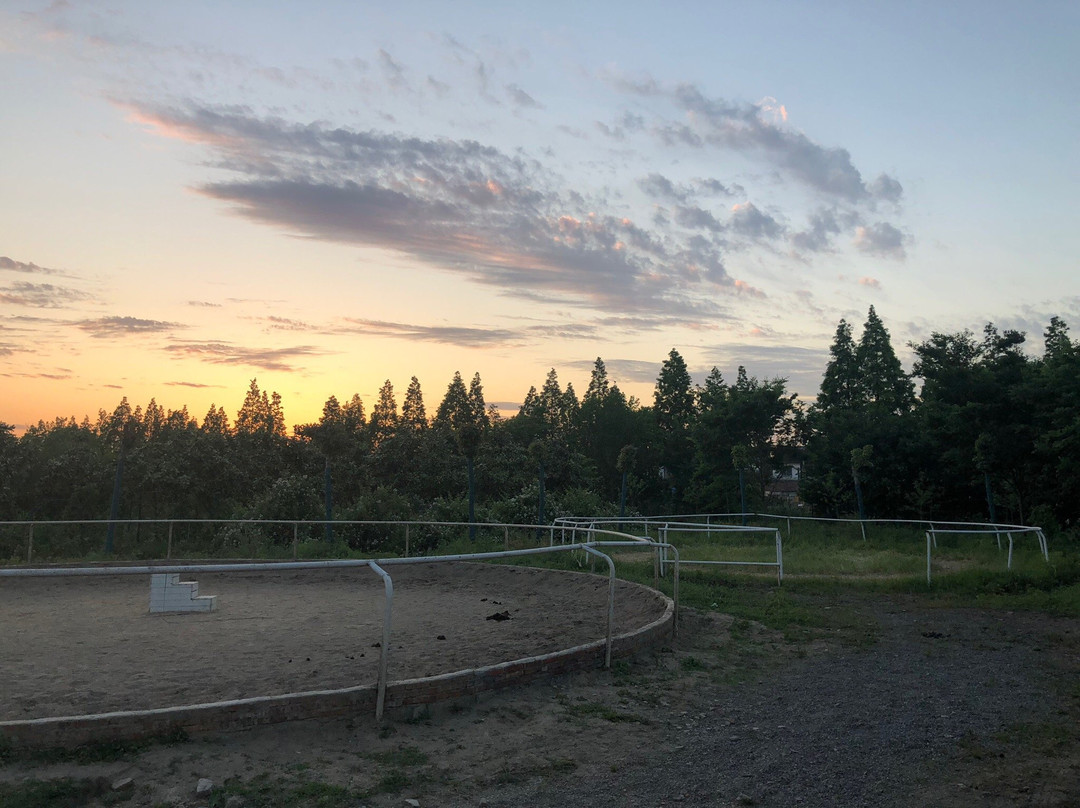 西芦园-太仓市必去景点