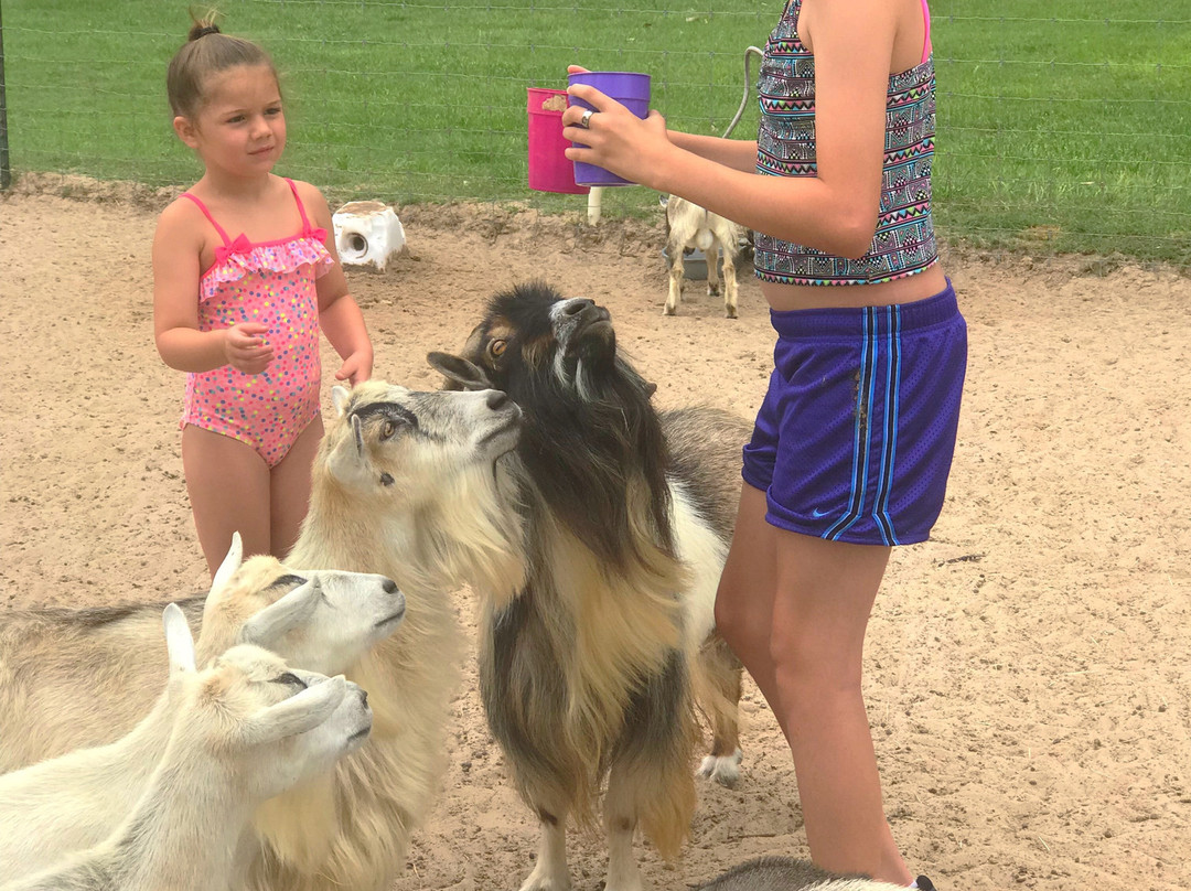 Grapeland Safari-Grapeland必去景点