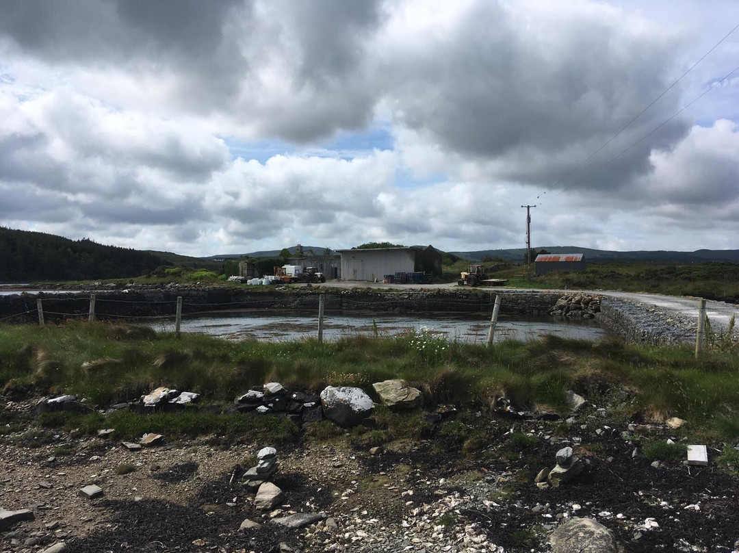DK Connemara Oysters-Dawros More必去景点