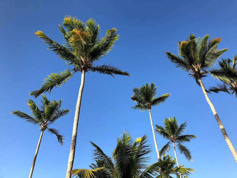 Hotel Costa Las Ballenas主图