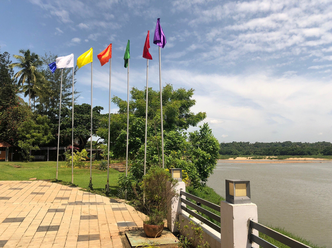 MAPS Residency主图