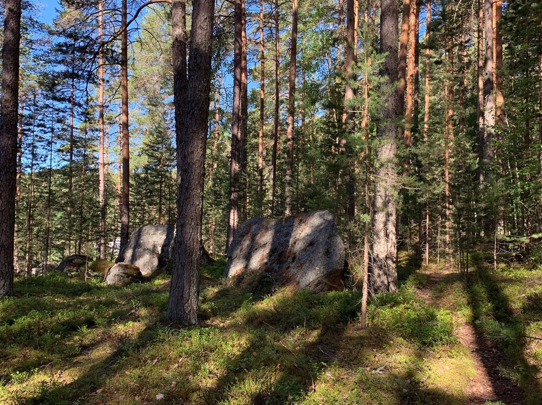 Kelvenne Trail-Padasjoki必去景点