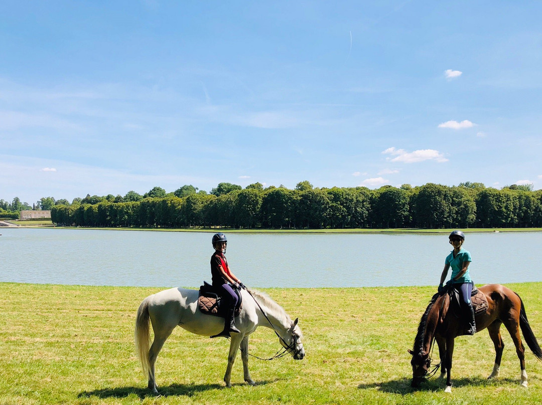 Horse Holidays France景点图片