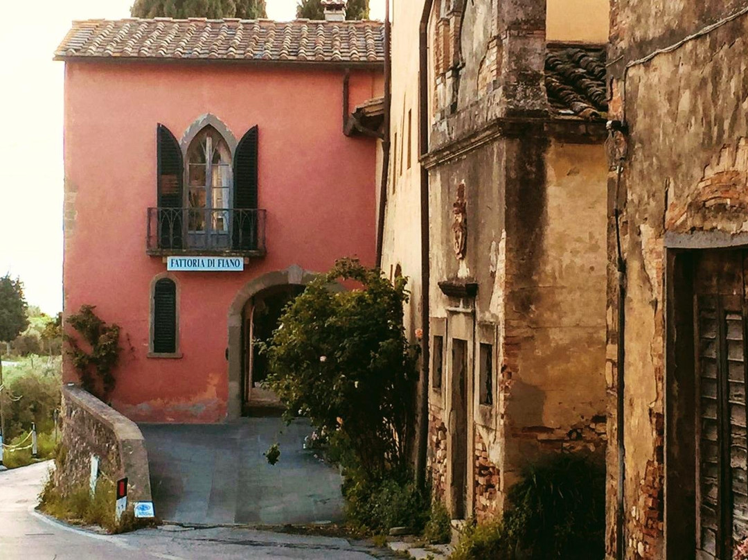 Fattoria di Fiano, Ugo Bing-Marcialla必去景点