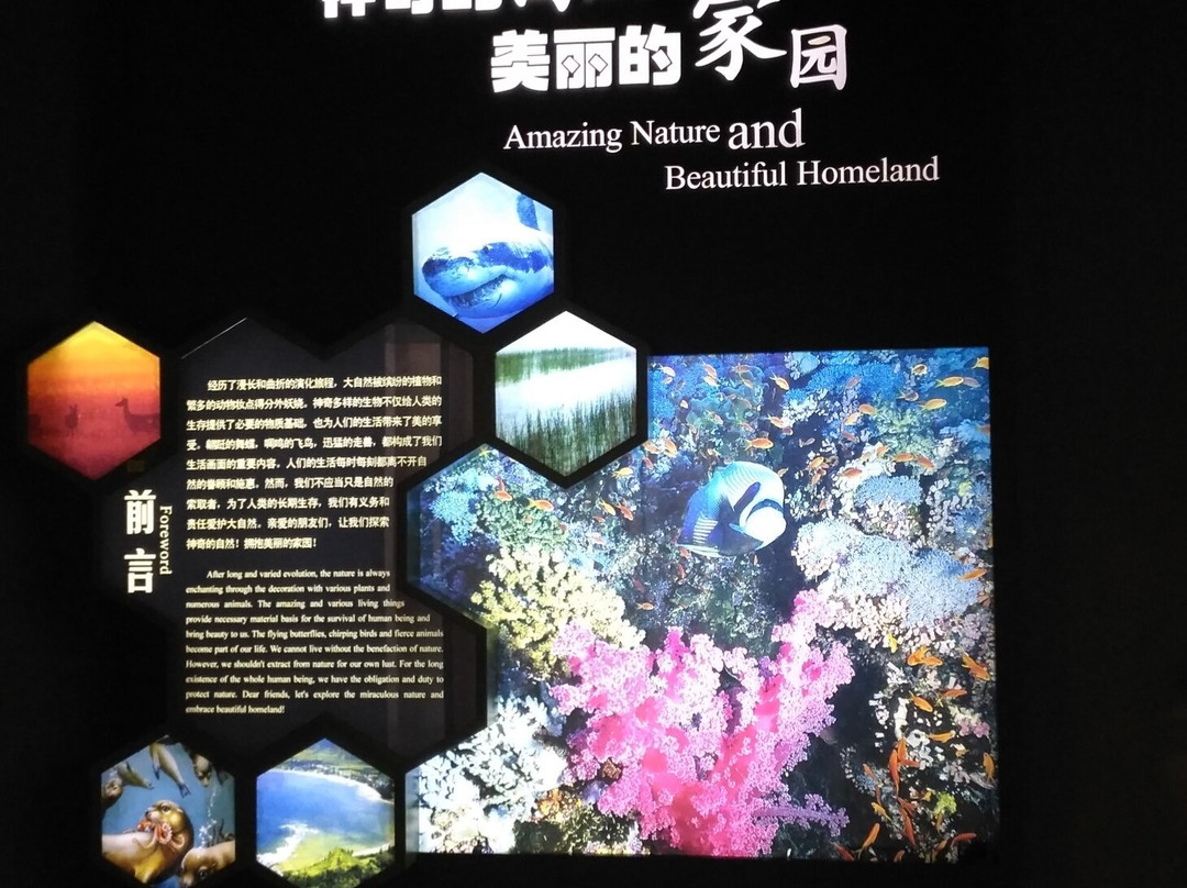 常州市博物馆-常州市必去景点