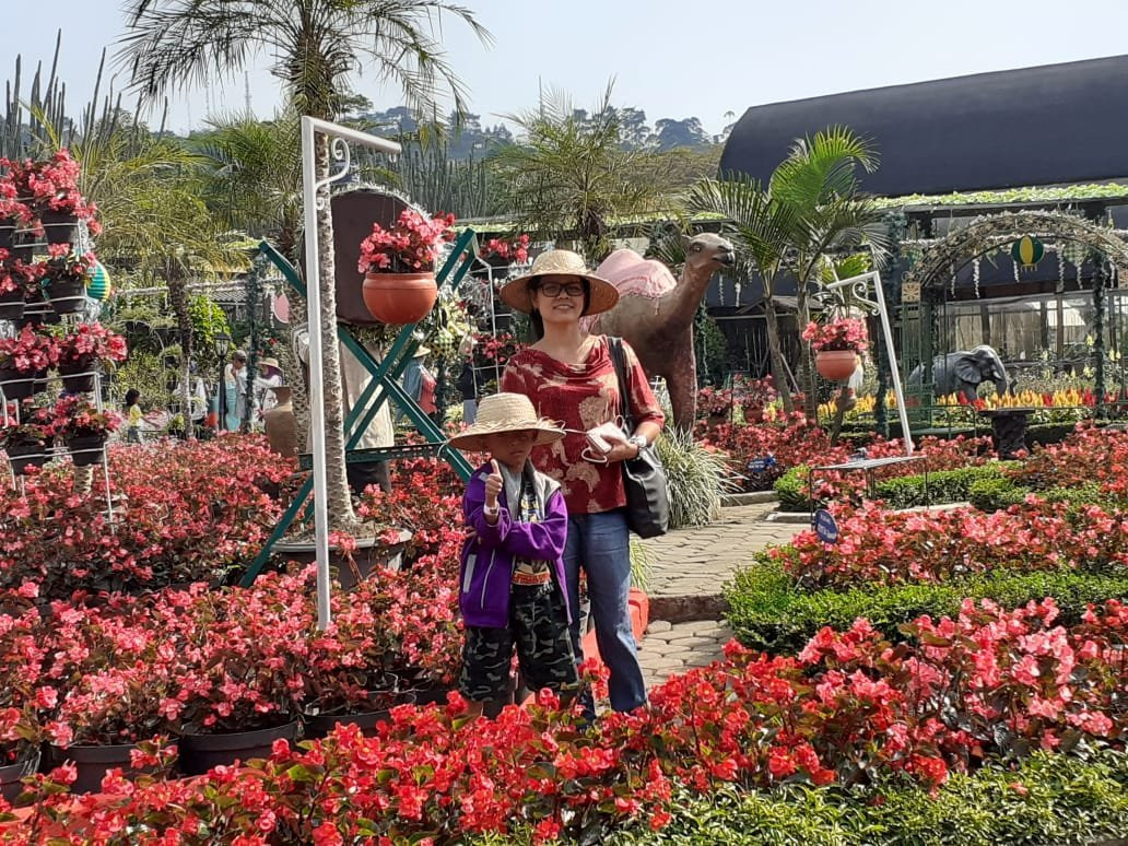 Begonia Garden-连旺必去景点