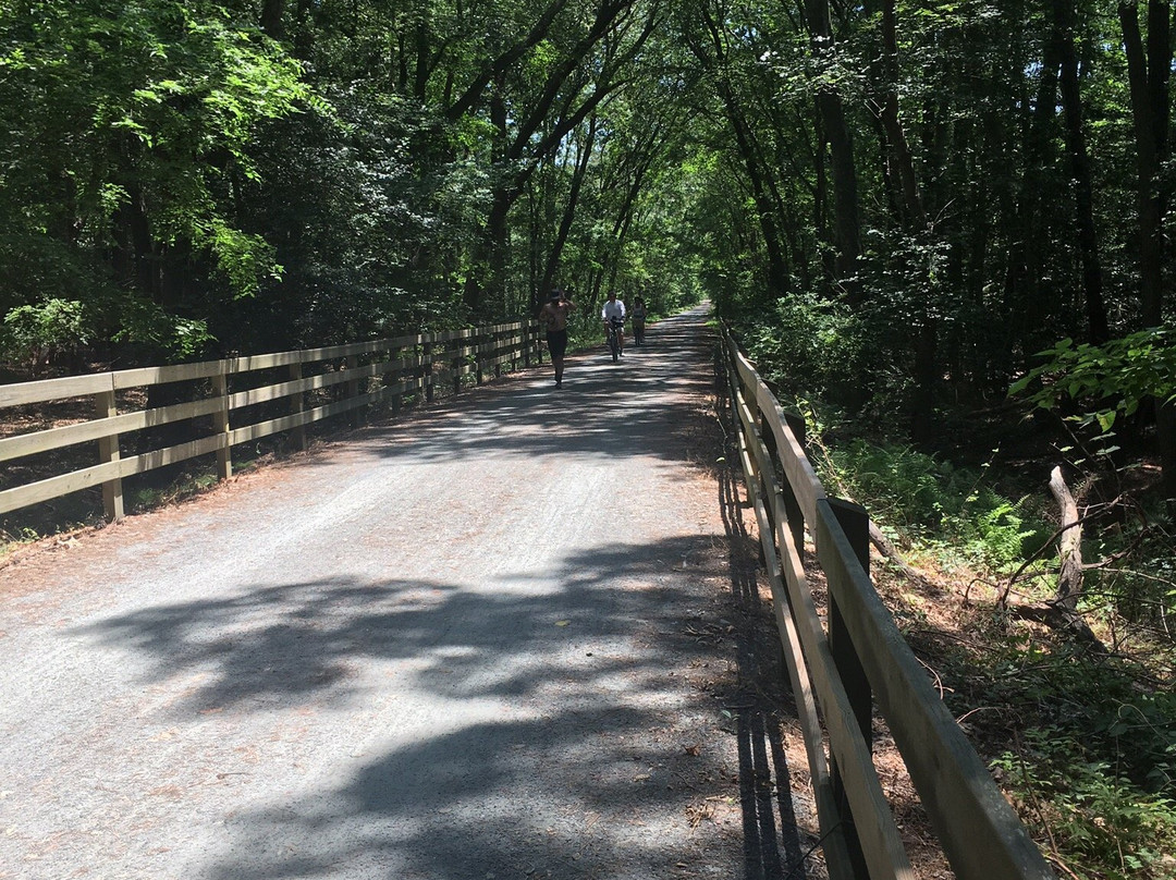 Junction and Breakwater Trail-里霍博斯比奇必去景点